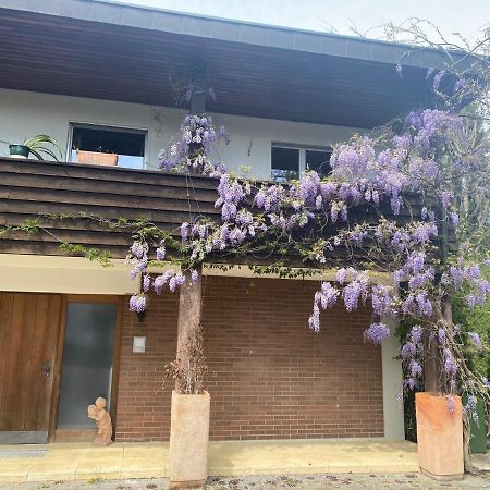 Apartments In Leafy Suburb Kehrsatz Εξωτερικό φωτογραφία