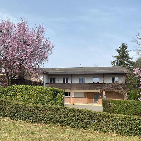 Apartments In Leafy Suburb Kehrsatz Εξωτερικό φωτογραφία