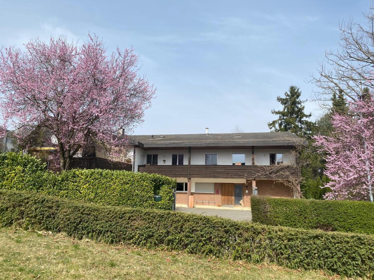 Apartments In Leafy Suburb Kehrsatz Εξωτερικό φωτογραφία